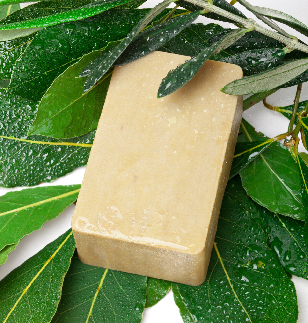 Aleppo Soap w/  Dark Musk Oil 125g