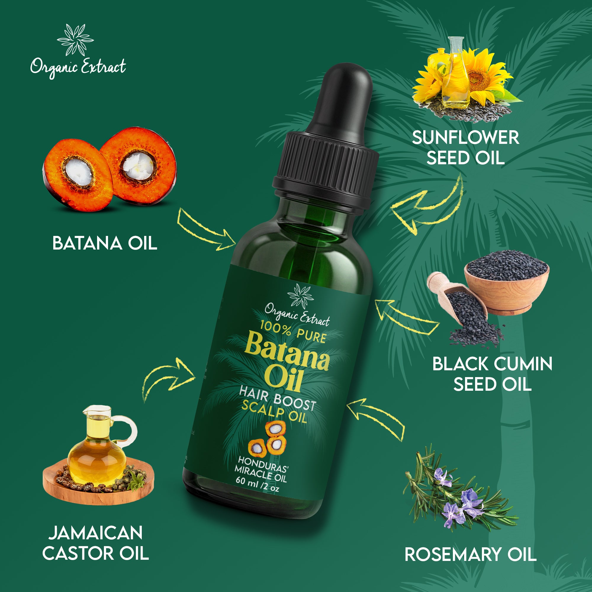 Organic Extract Batana Oil Hair Growth Scalp Oil 60ml / 2 fl oz