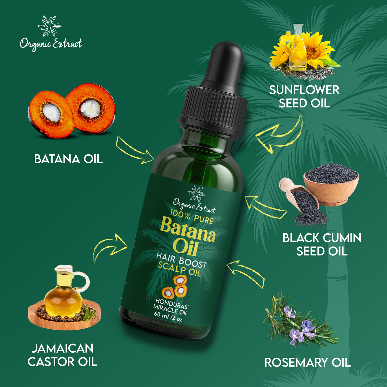 Organic Extract Batana Oil Hair Growth Scalp Oil 60ml / 2 fl oz