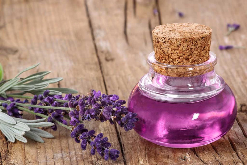 Extrait d'Huile de Lavande Bio 15 ml